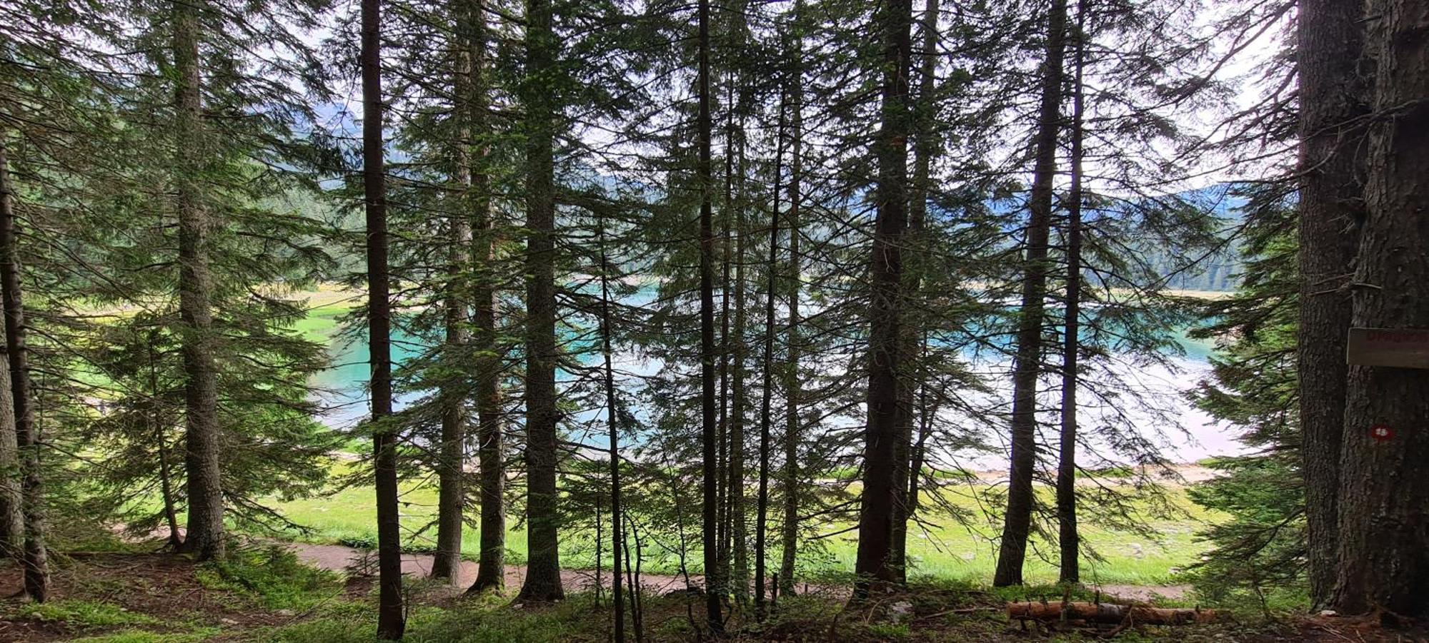 Mountain Villas Zabljak Eksteriør bilde